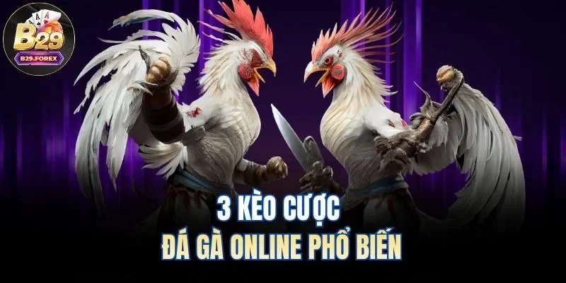 3 kèo cược đá gà online phổ biến