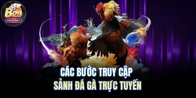 Các bước truy cập sảnh đá gà trực tuyến