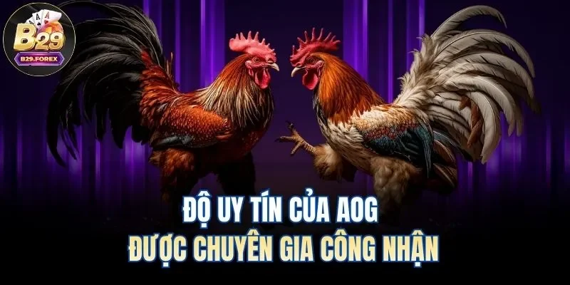 Độ uy tín của AOG được chuyên gia công nhận