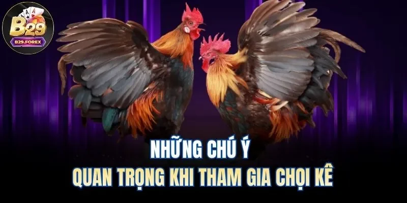 Những chú ý quan trọng khi tham gia chọi kê