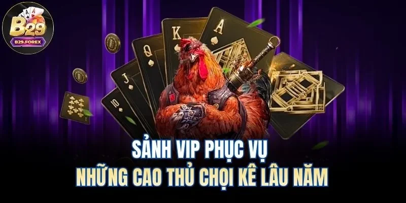 Sảnh VIP phục vụ những cao thủ chọi kê lâu năm