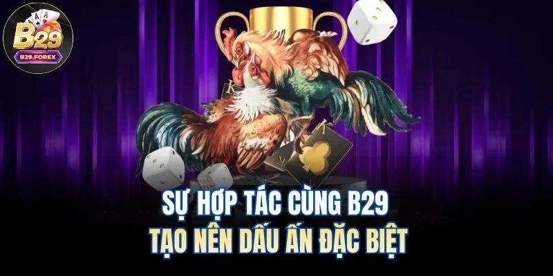 Sự hợp tác cùng B29 tạo nên dấu ấn đặc biệt